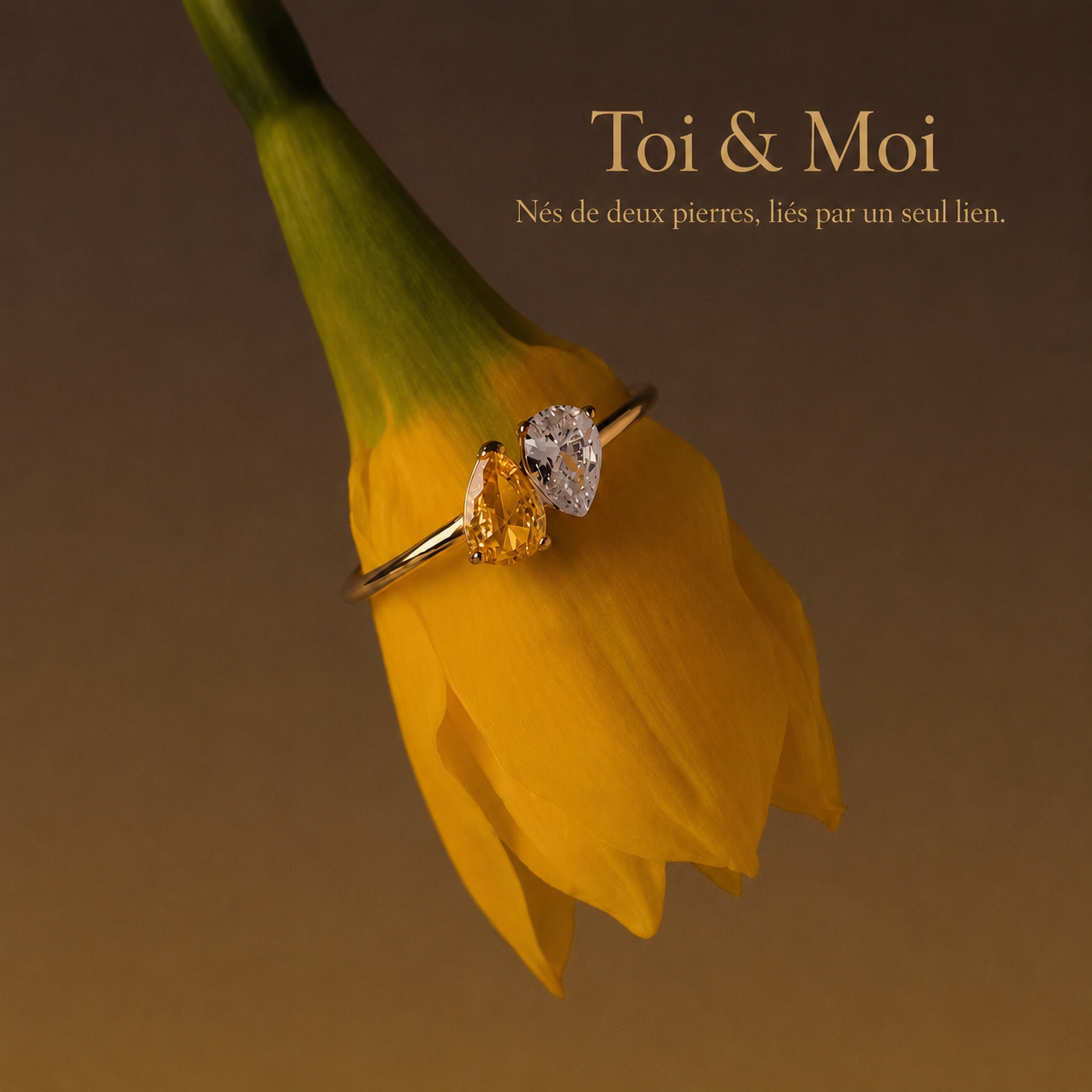 Bague Toi & Moi – Pierres de Naissance